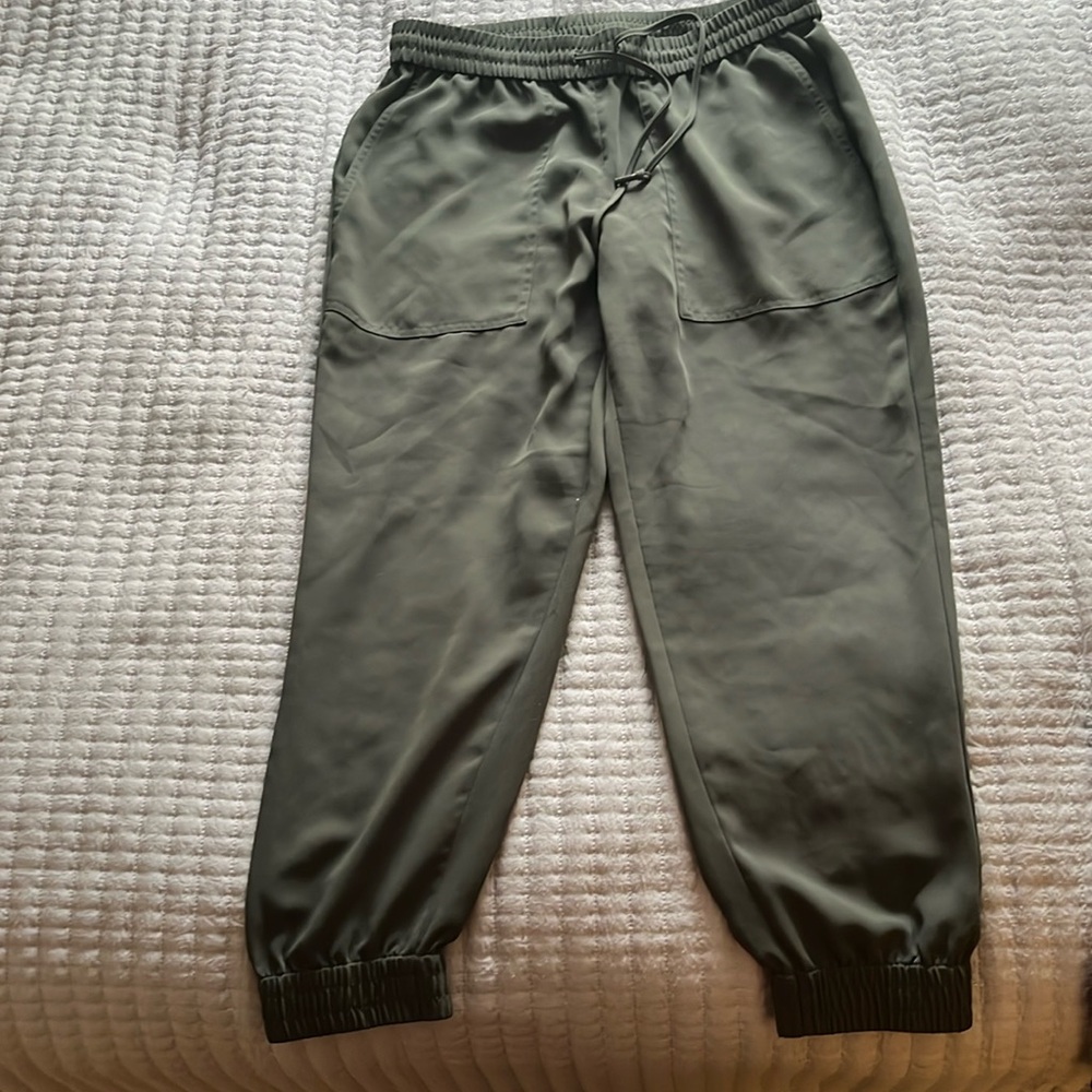 Ann Taylor joggers